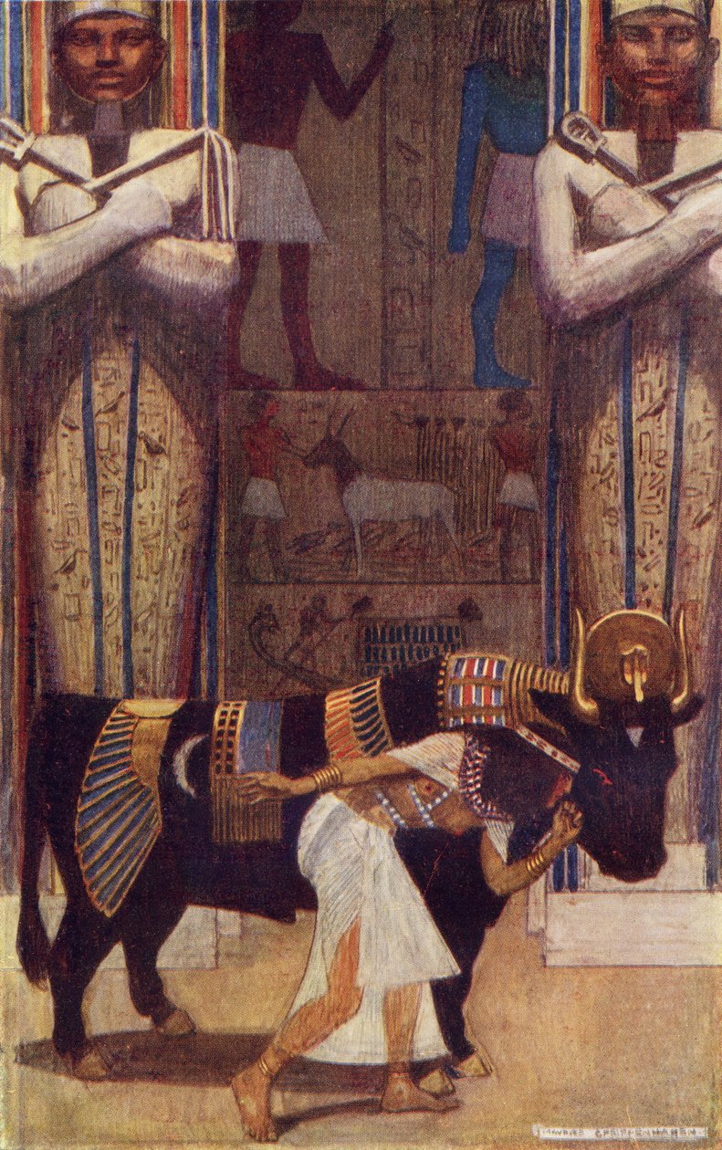 La giovane moglie e il toro Bata dalla storia del contadino che divenne re, illustrazione da 