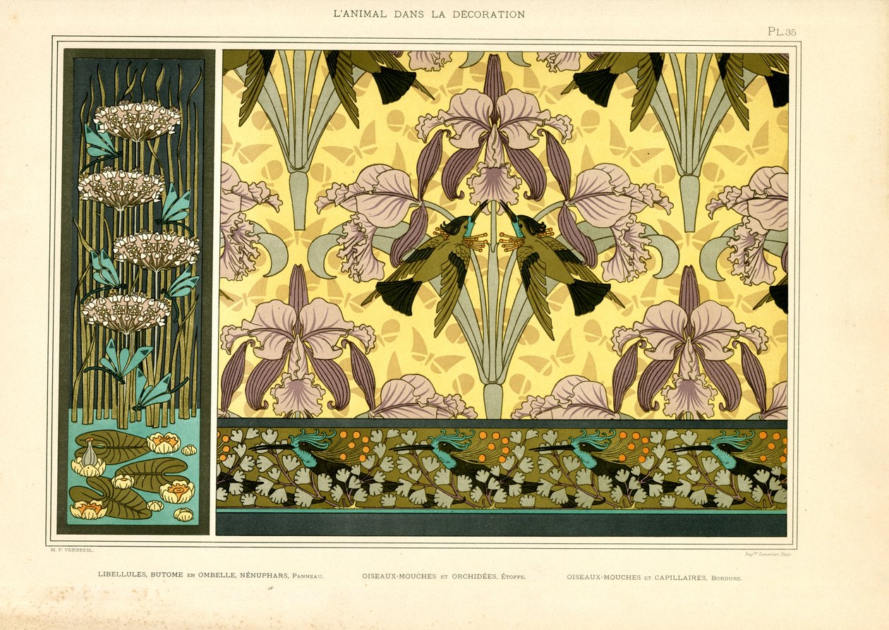 Disegni Art Nouveau con libellule, orchidee e colibrì (litografia) da Maurice Pillard Verneuil