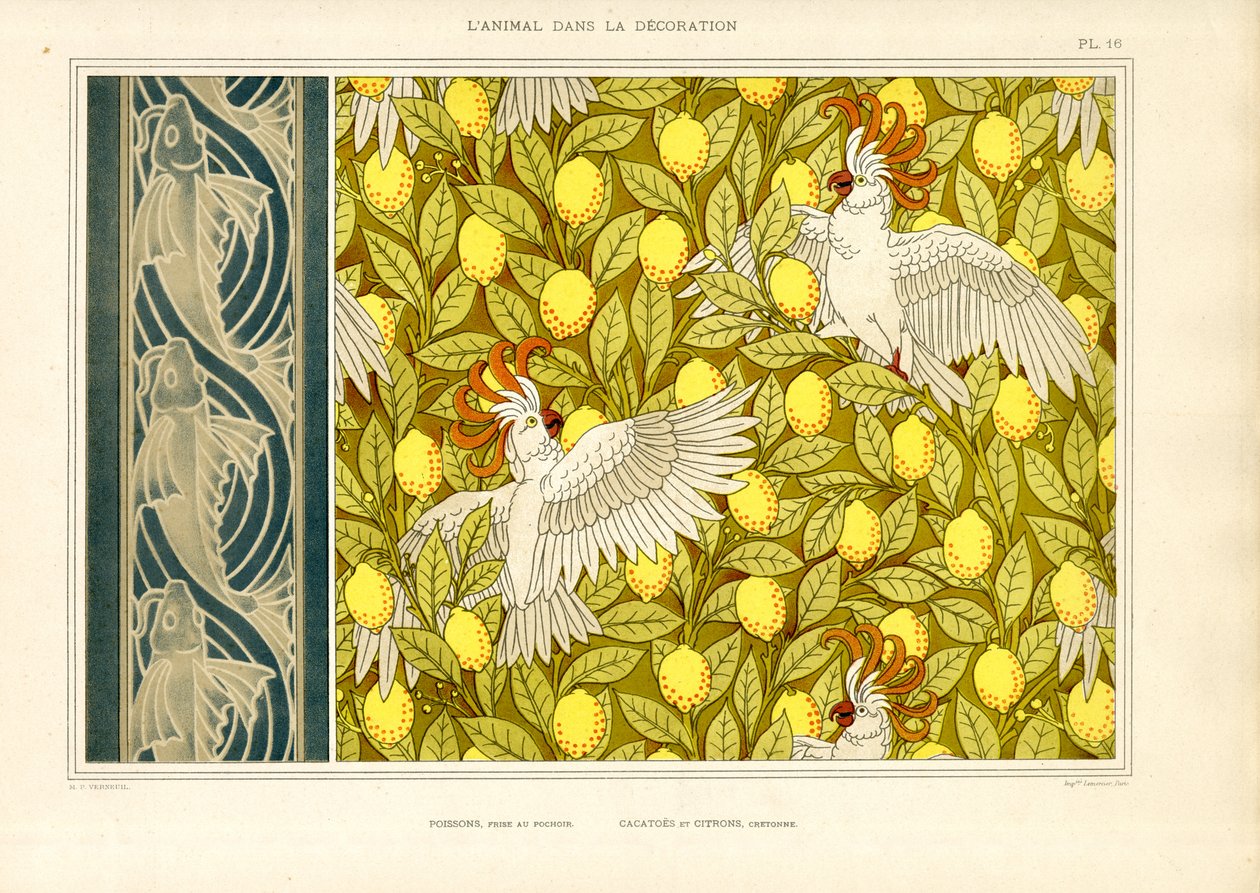Motivo decorativo con cacatua e limoni (litografia) da Maurice Pillard Verneuil