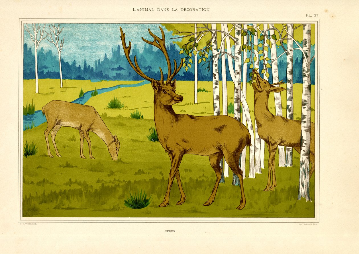 Cervo in un paesaggio di betulle (litografia) da Maurice Pillard Verneuil