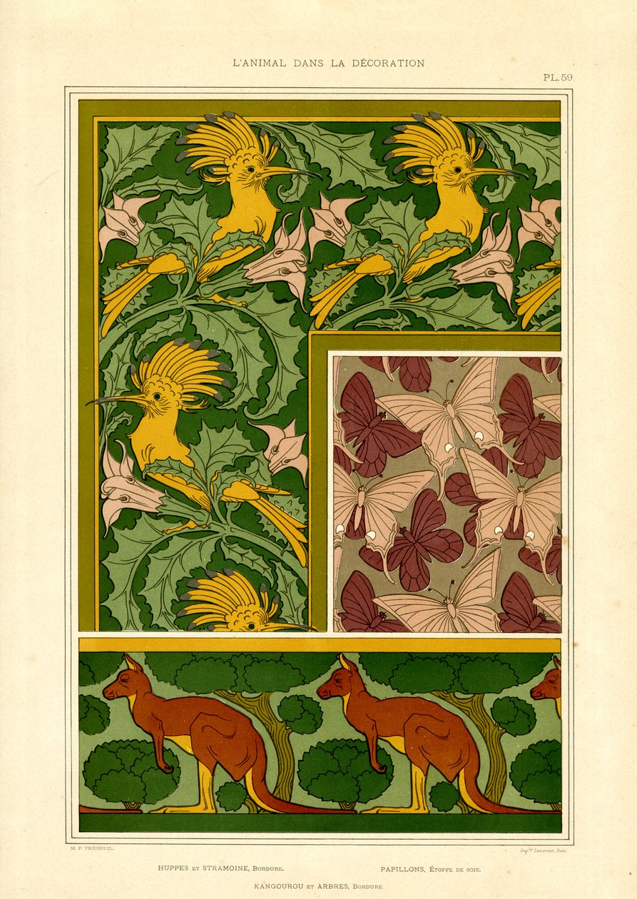 Motivi di animali esotici: cacatua, farfalle e canguri (litografia) da Maurice Pillard Verneuil