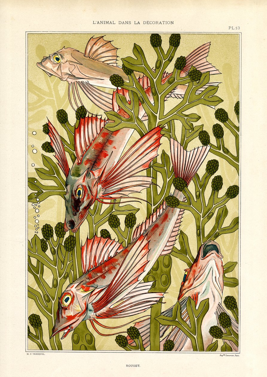 Pesce stilizzato tra piante marine (litografia) da Maurice Pillard Verneuil