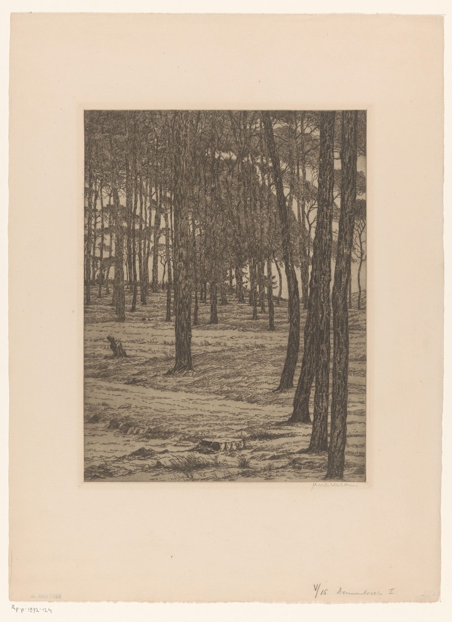 Bosco di pini I da Maurits van der Valk (signed by artist)