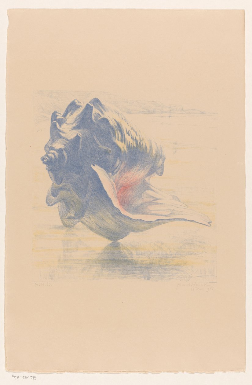 Conchiglia da Maurits van der Valk (signed by artist)