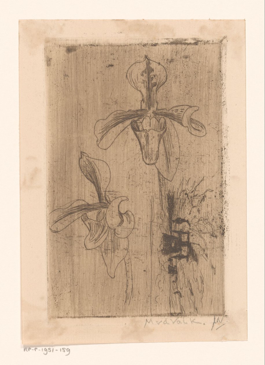 Due orchidee e un carro sulla spiaggia da Maurits van der Valk (signed by artist)