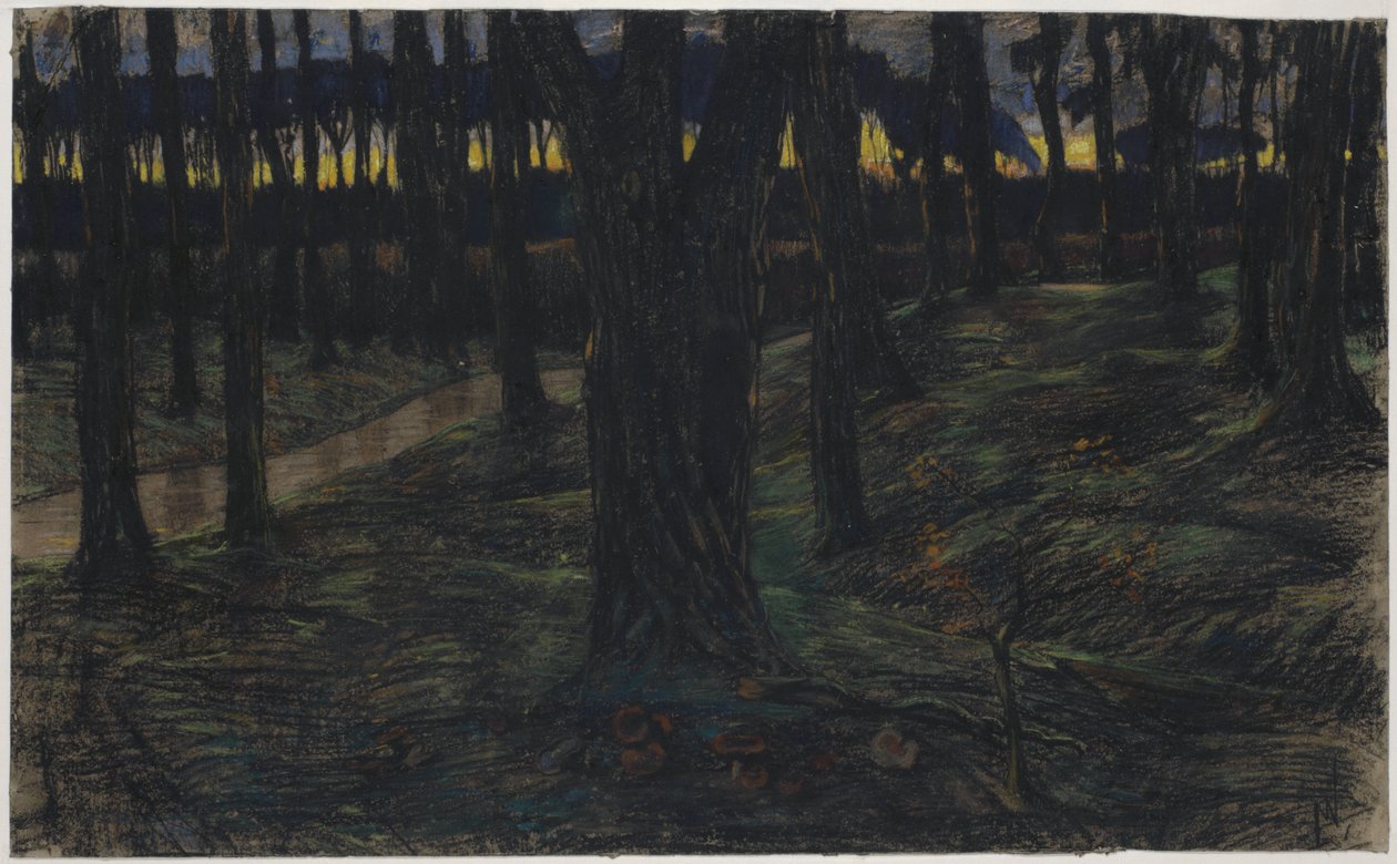 Veduta del bosco al tramonto da Maurits van der Valk