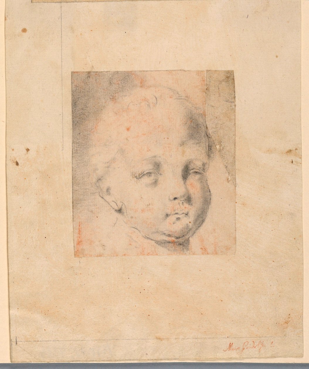 Disegno, studio: Testa di ragazzo, 1810-34 da Mauro Gandolfi