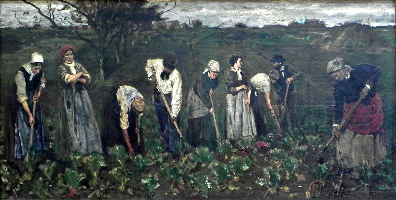 Lavoratori nel campo di barbabietole da Max Liebermann
