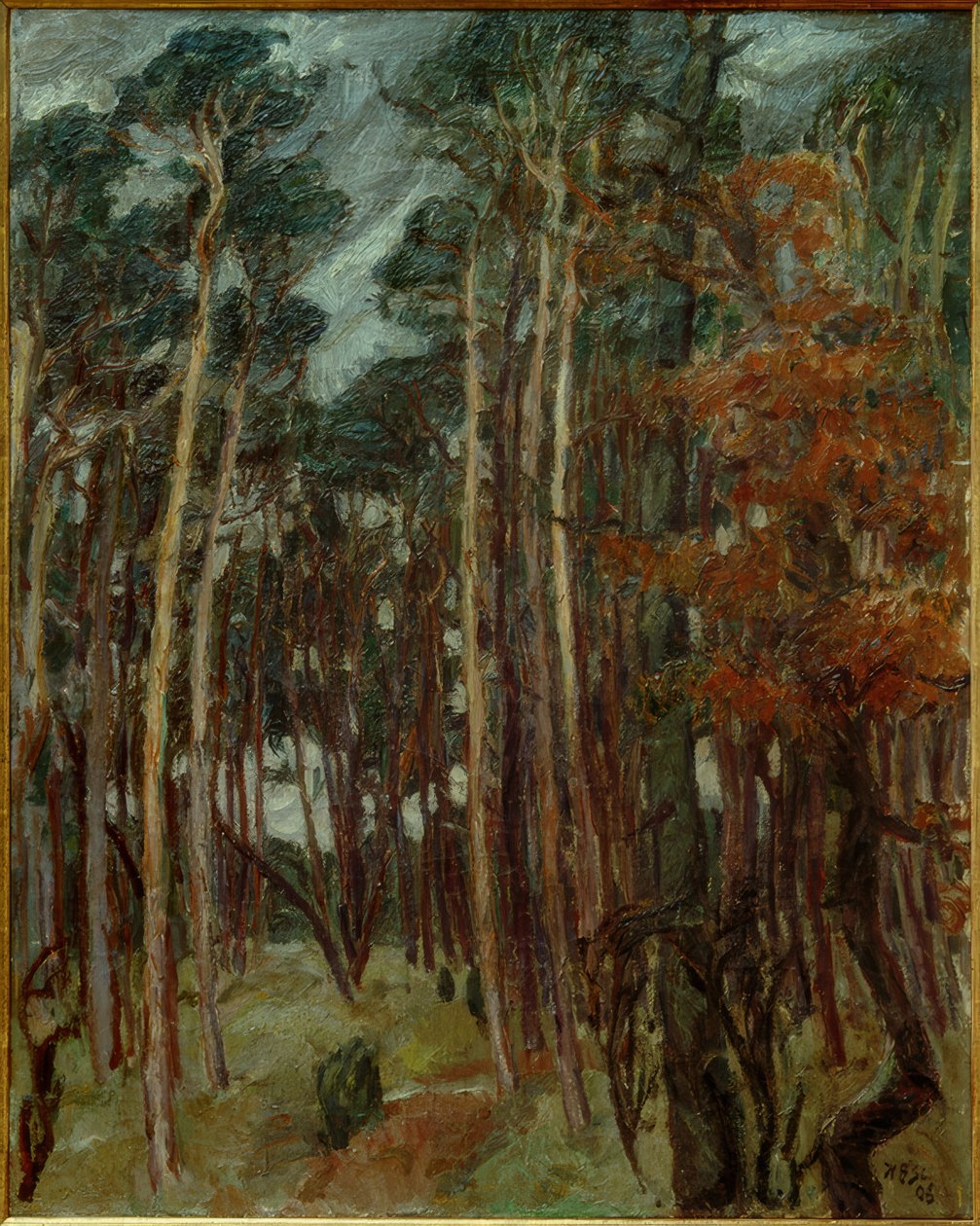 Foresta di Hermsdorf in un giorno grigio da Max Beckmann