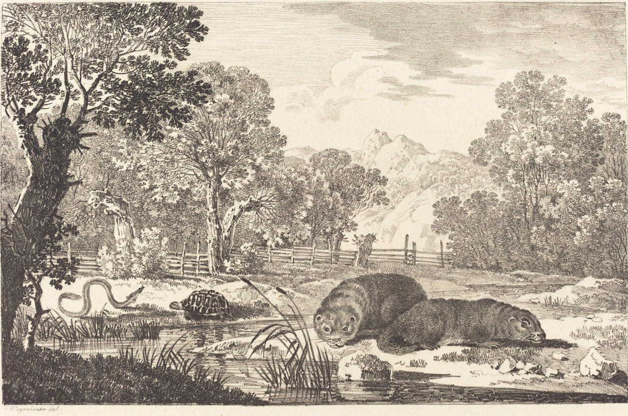 Paesaggio fluviale con due castori da Max Joseph Wagenbauer