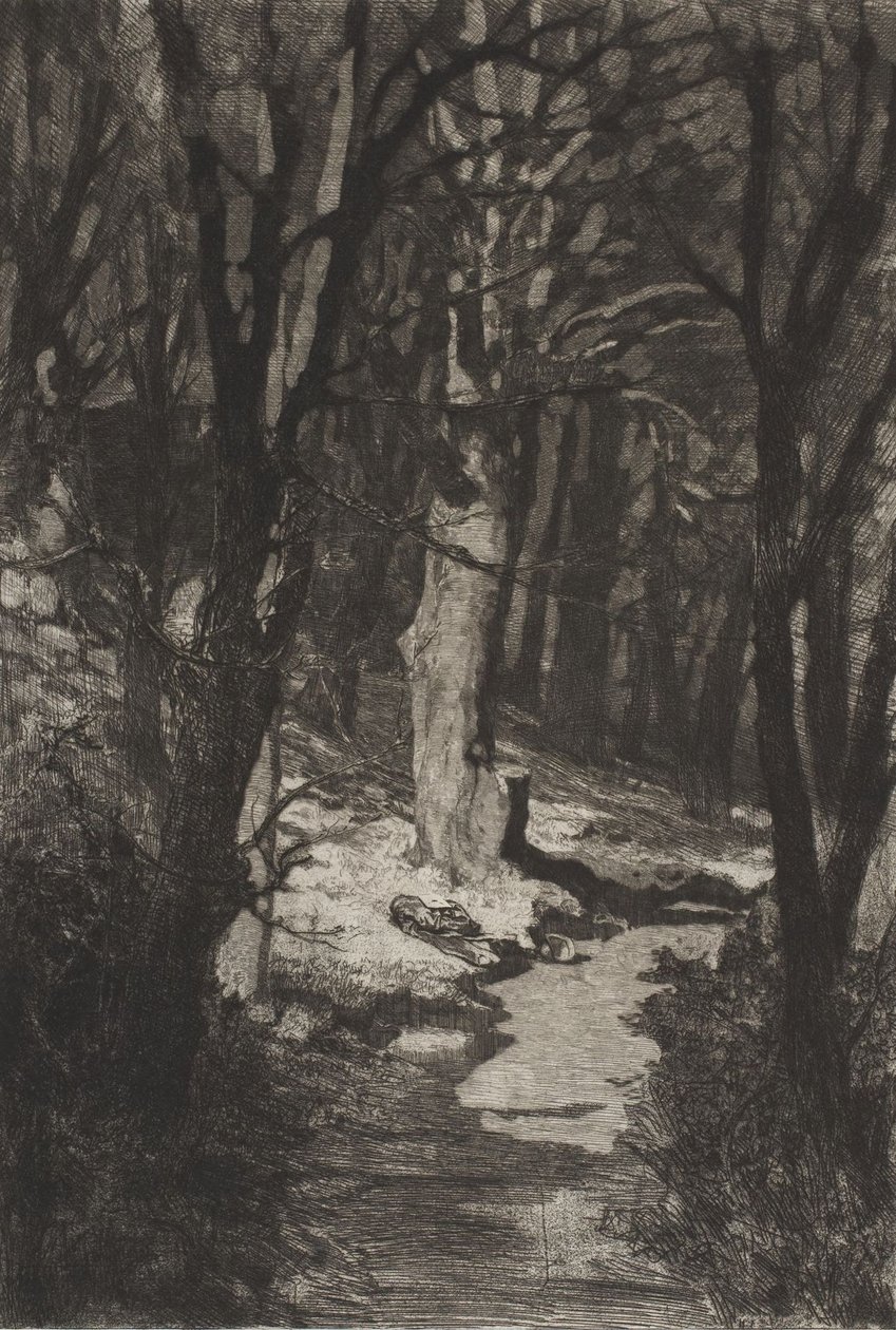 Nel bosco (In the forest), da *Dramen Opus IX* (Drammi) da Max Klinger