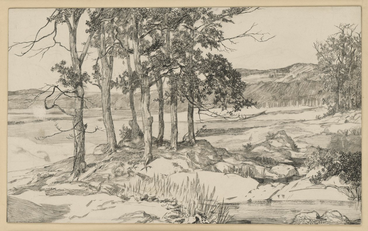 Paesaggio con pineta e laghetto da Max Klinger