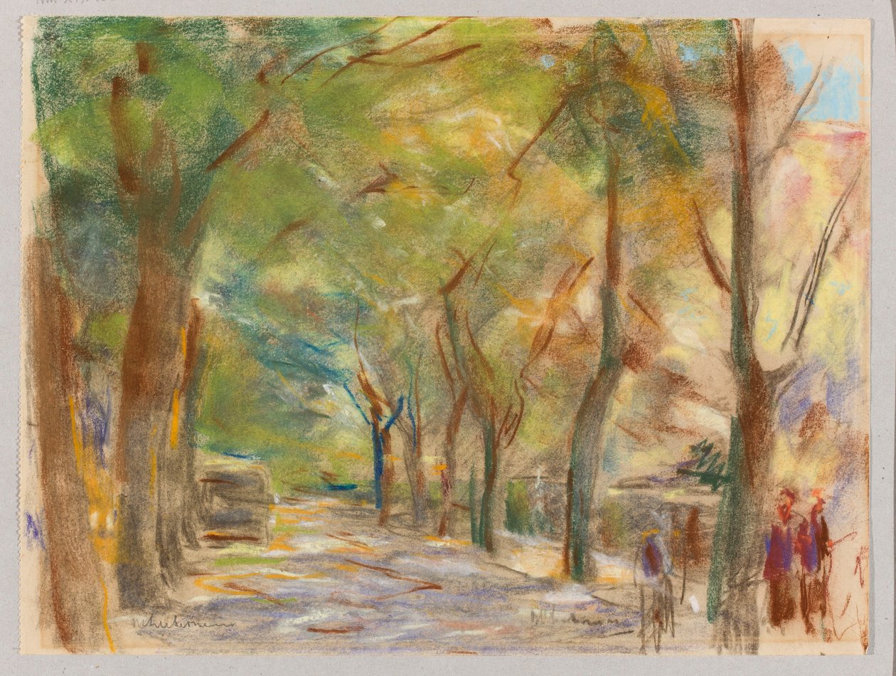 Via Colomier presso Wannsee da Max Liebermann