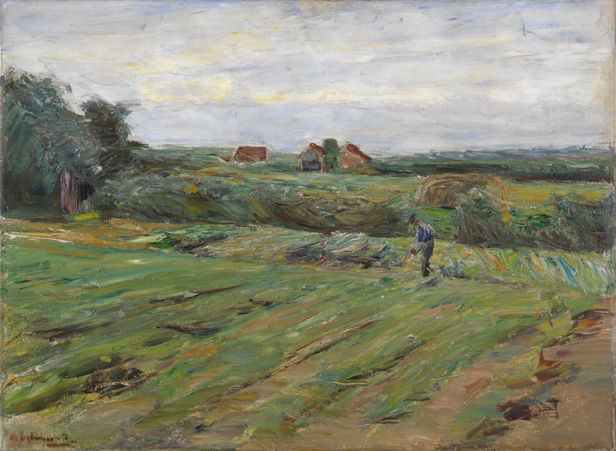 Campo di raccolto da Max Liebermann