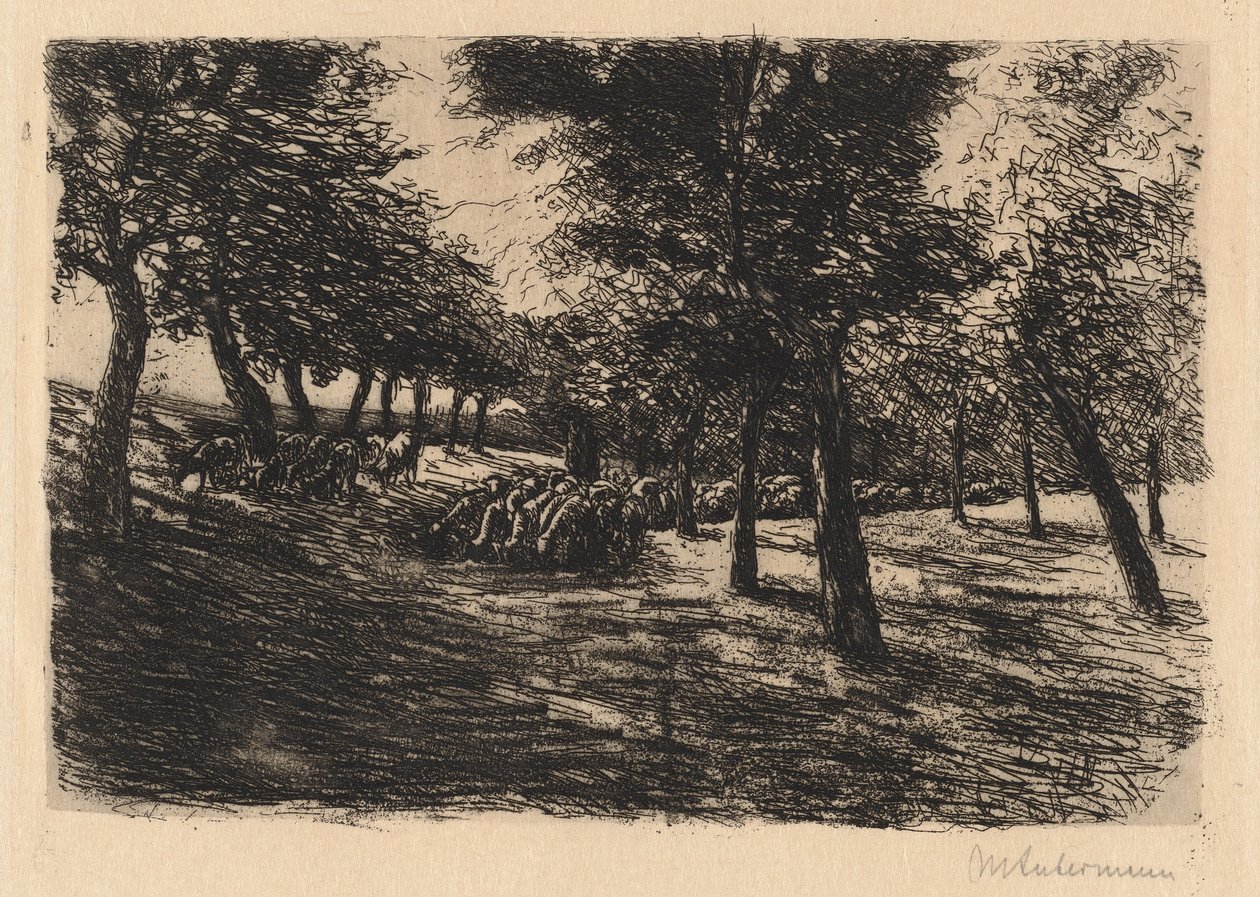 Gregge di pecore sotto gli alberi da Max Liebermann