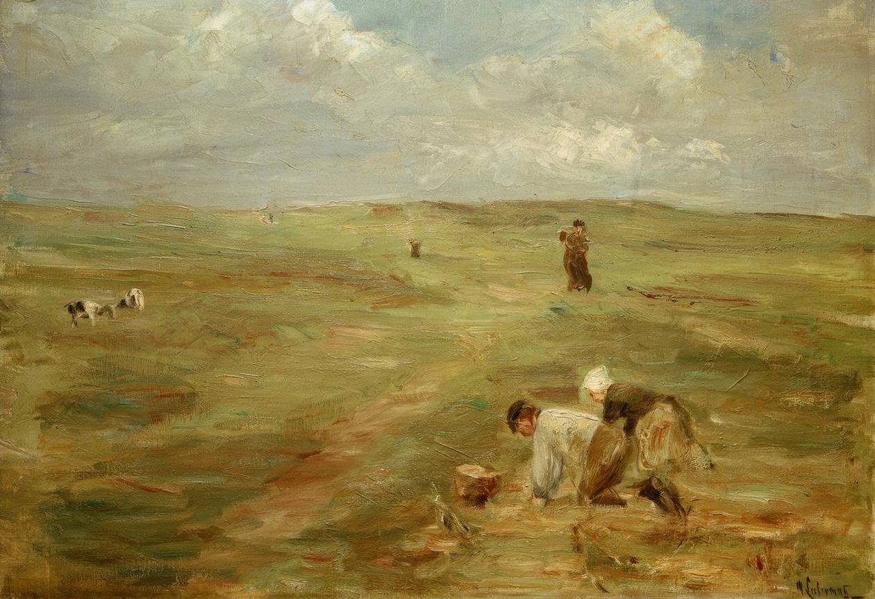 Scavatori di patate nelle dune di Zandvoort da Max Liebermann
