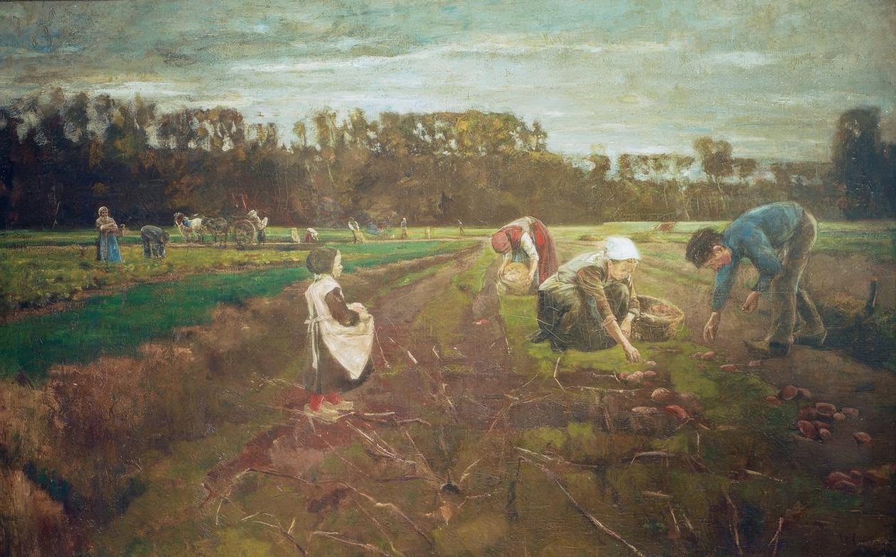 Raccolta di patate a Barbizon da Max Liebermann