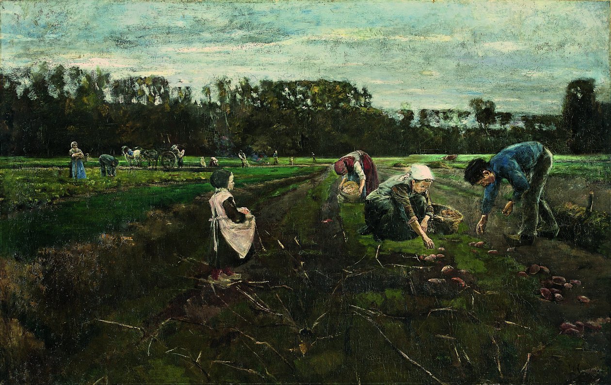 Raccolta delle patate da Max Liebermann