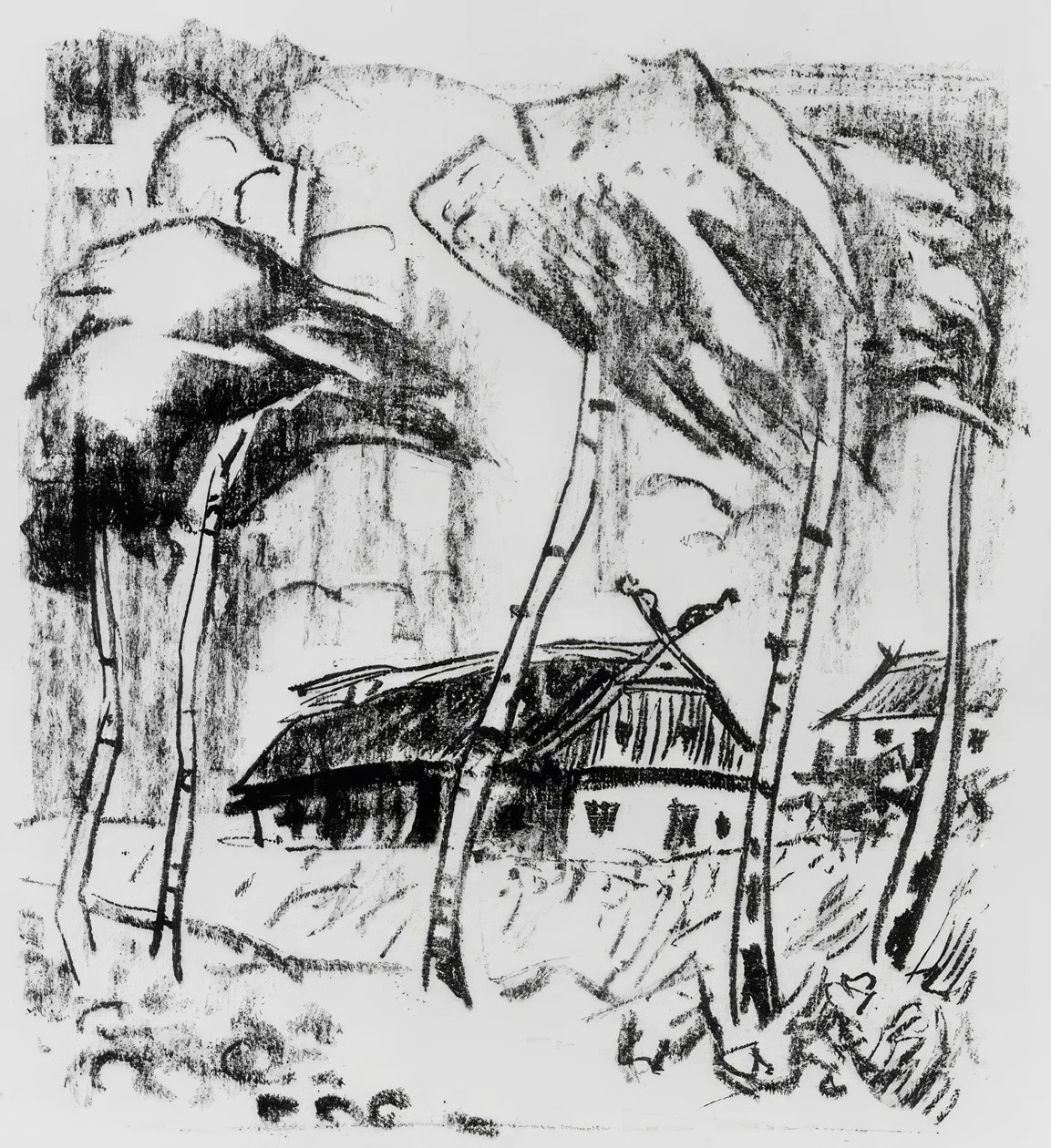 Fattoria dietro le betulle da Max Pechstein