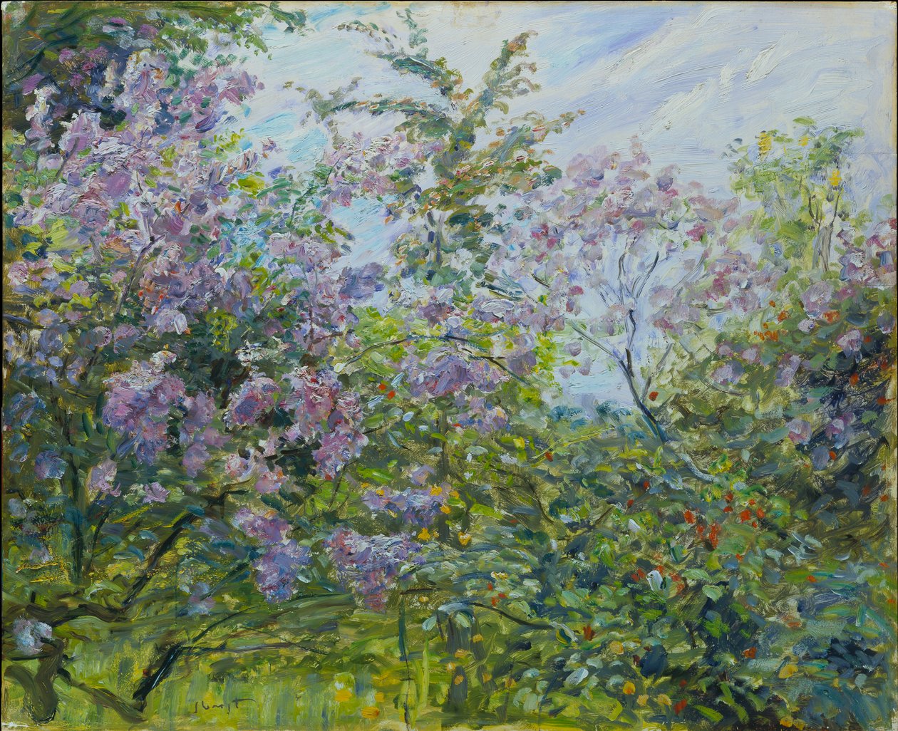 Lillà in fiore da Max Slevogt