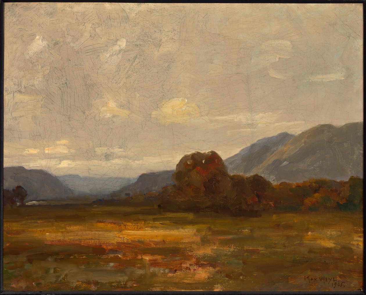 Paesaggio da Max Weyl