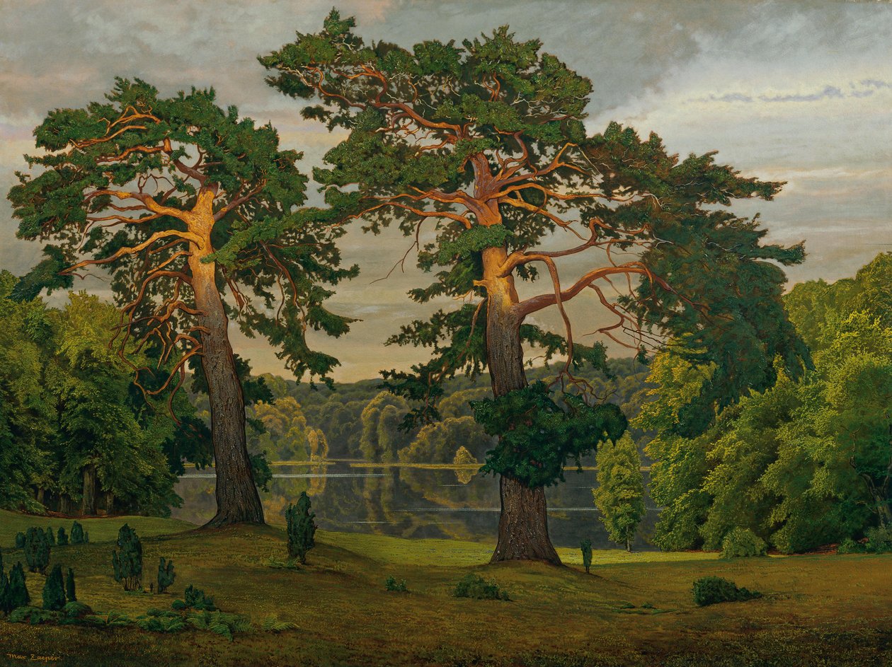 Pini ai margini della foresta da Max Zaeper