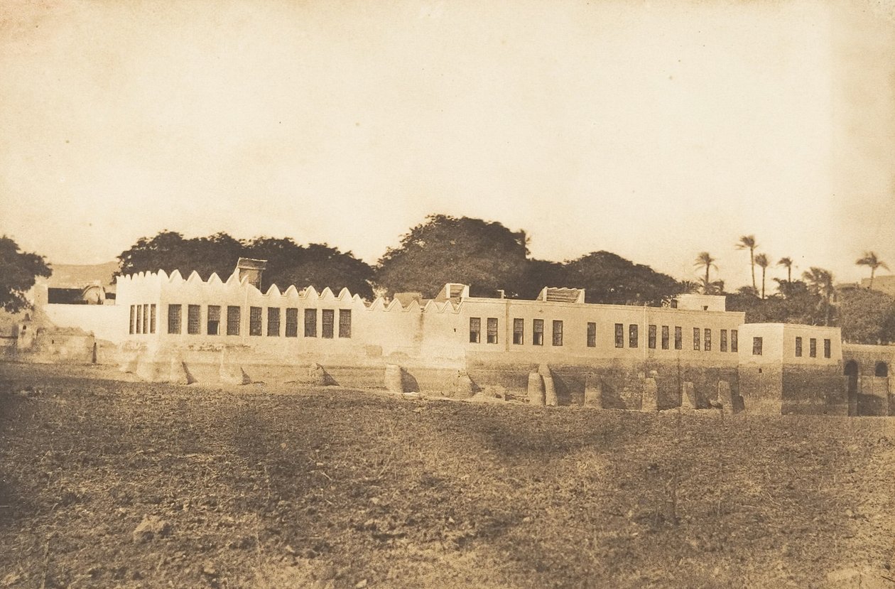 Vue du Divan et du Palais du Gouverneur, à Syout, 1849-50 da Maxime Du Camp