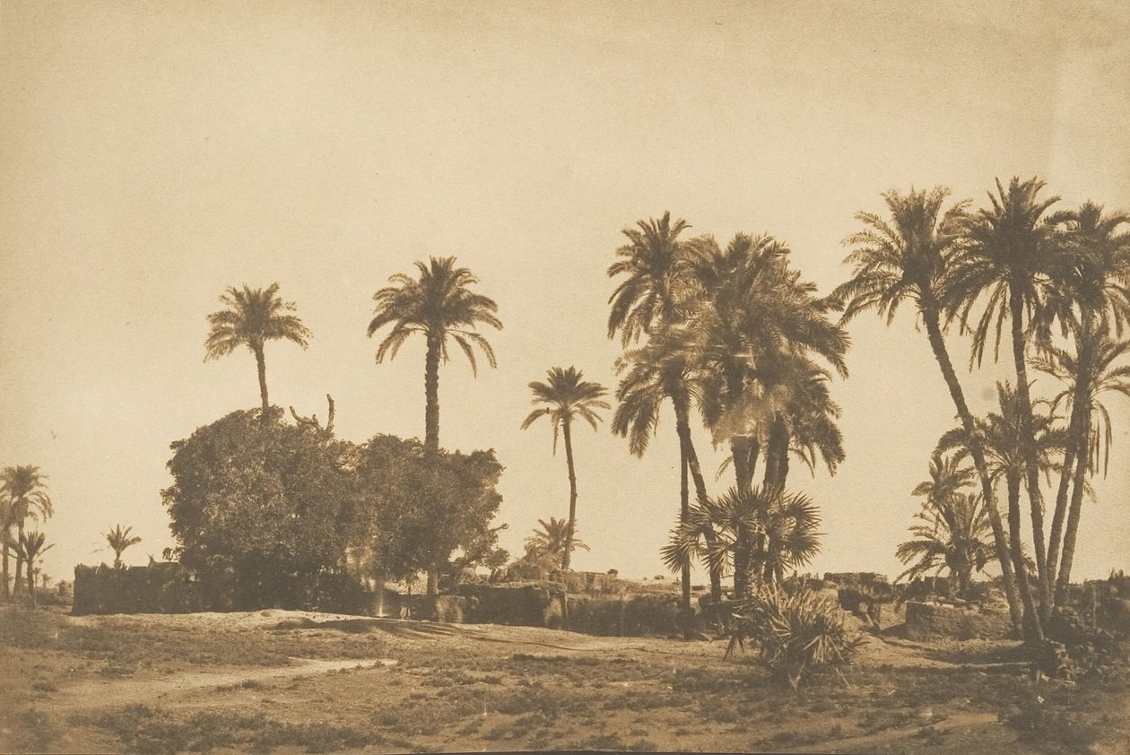 Vue du Village de Hamarneh, près de Dendérah Rive droite, 1849-50 da Maxime Du Camp