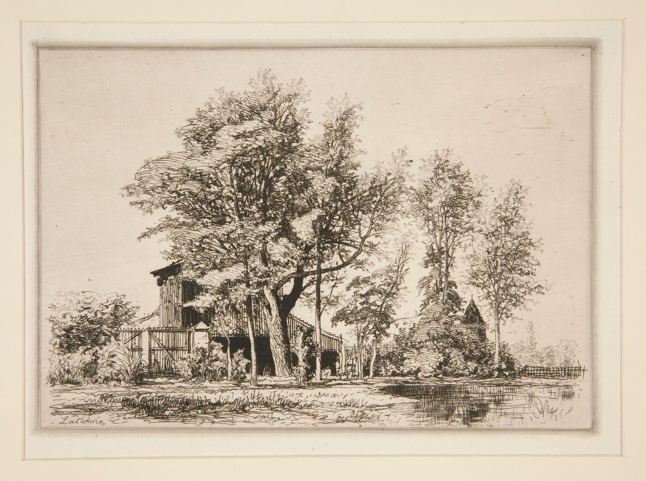 Alberi di acacia da Maxime Lalanne
