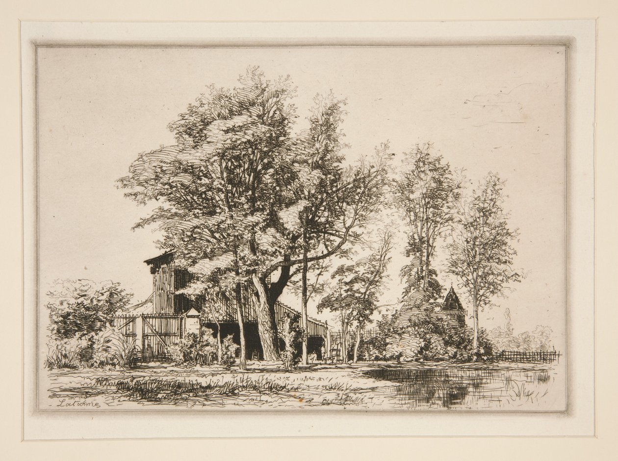Acacie da Maxime Lalanne