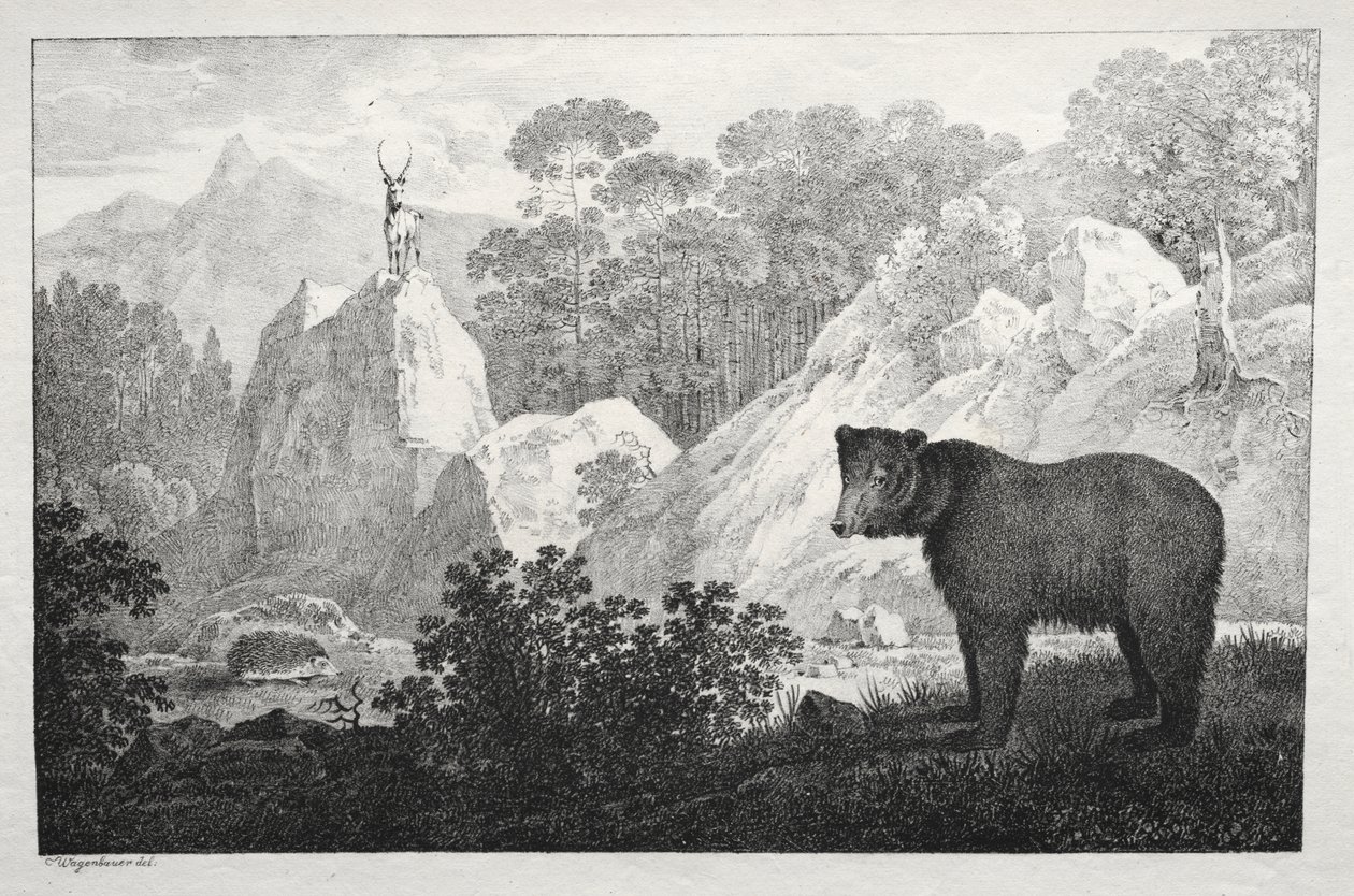 Paesaggio Montuoso con Orso in Primo Piano da Maximilian Josef Wagenbauer