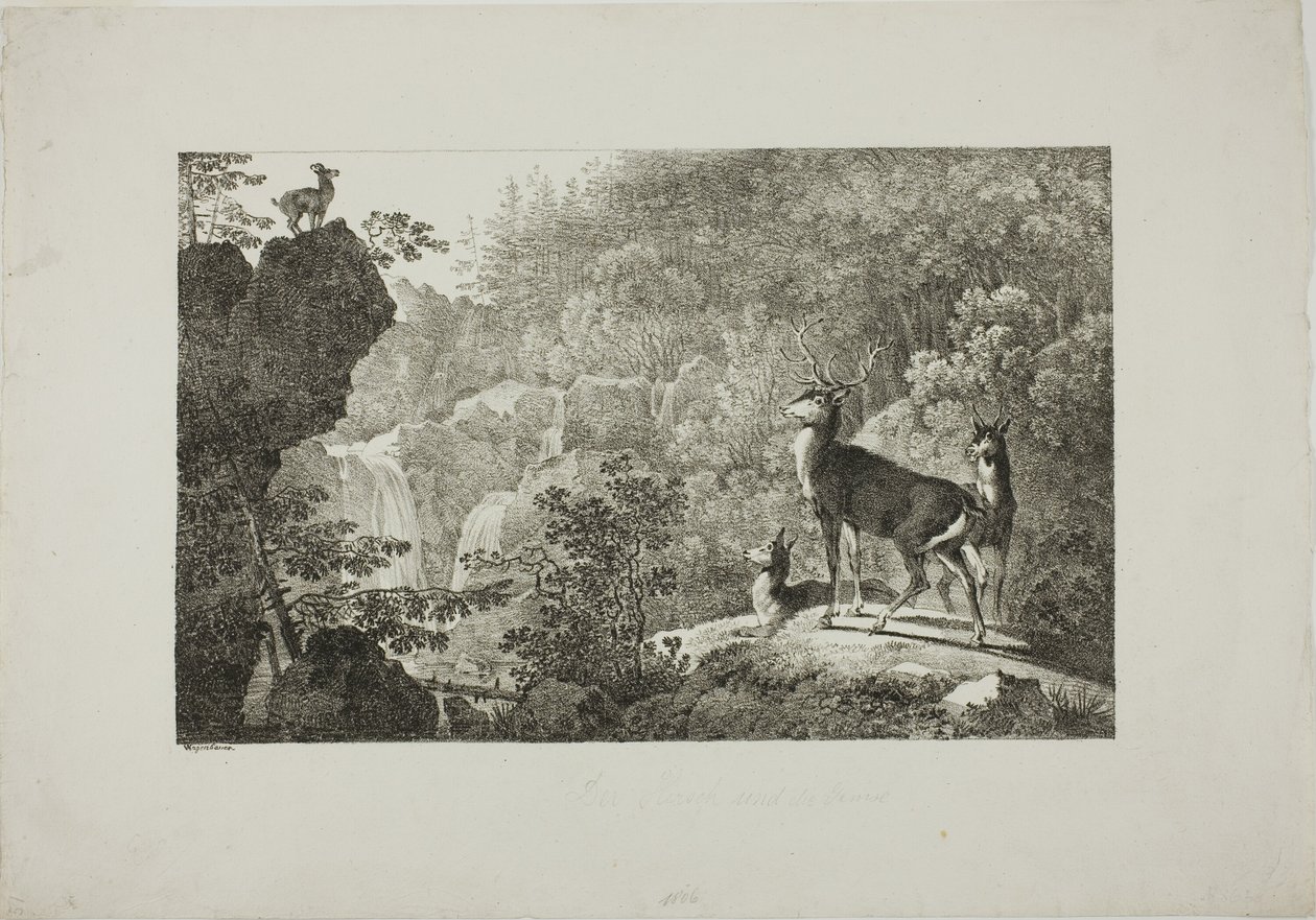 Il cervo e il camoscio da Maximilian Josef Wagenbauer