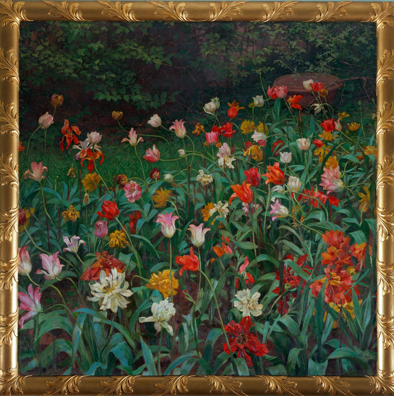 Tulipani da Maximilian Lenz