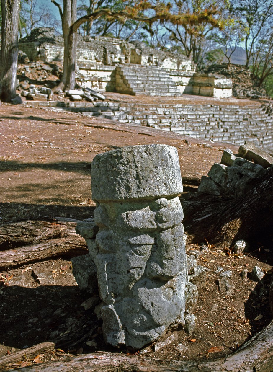 Vista del cortile orientale e del tempio 22, periodo classico VII-VIII secolo da Mayan