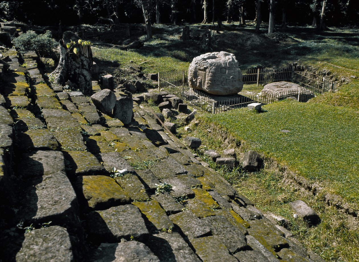 Altare zoomorfo da Mayan