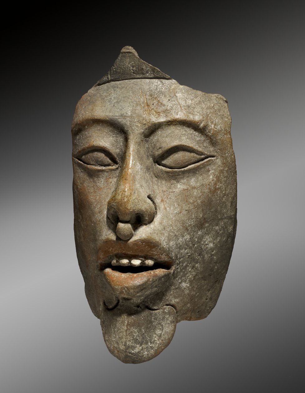 Testa di un sovrano da un incensario, 600-900 d.C. da Mayan Mayan