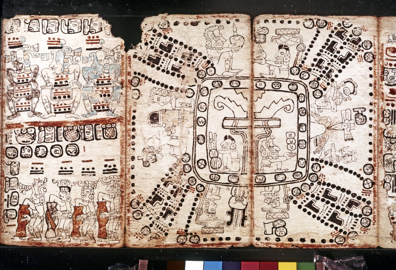 Civiltà Maya: Codice Tro-Cortesiano da Mayan Mayan