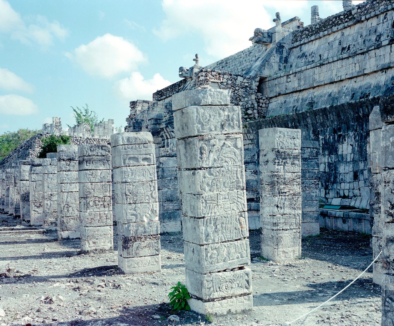 Civiltà precolombiana: vista del sito di Chichen Itza nella regione dello Yucatan. Civiltà Maya, periodo classico e rinascimento Maya, 750-1200 d.C. Messico da Mayan Mayan