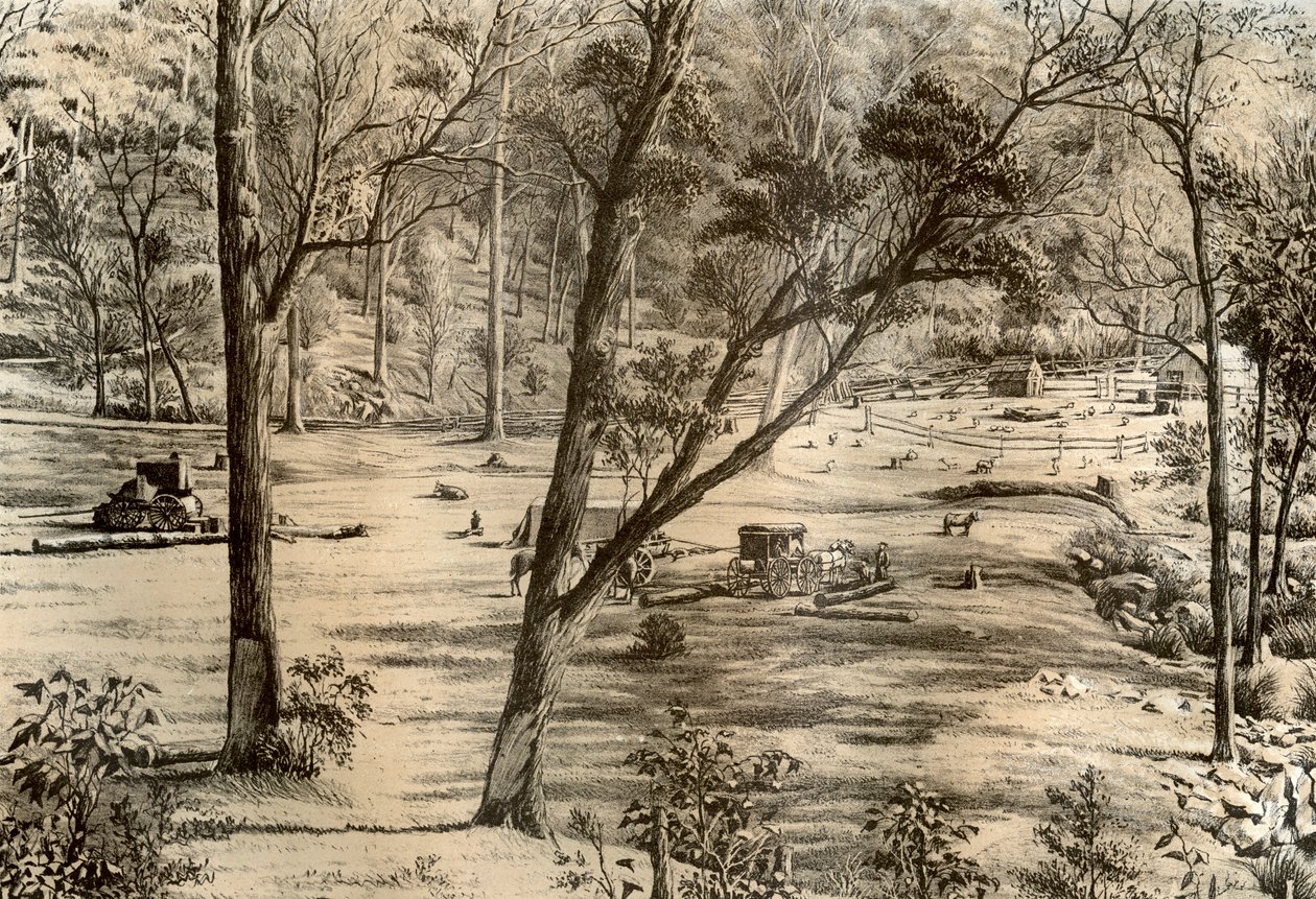 Capanna del selezionatore libero, Australia, 1879 da McFarlane and Erskine