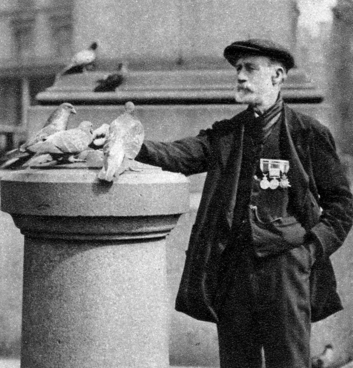 Un vecchio soldato con alcuni piccioni, Trafalgar Square, Londra da McLeish