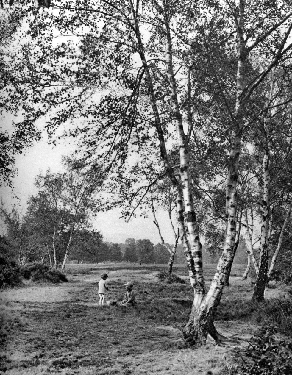 Putney Heath, Londra, 1926-1927 da McLeish