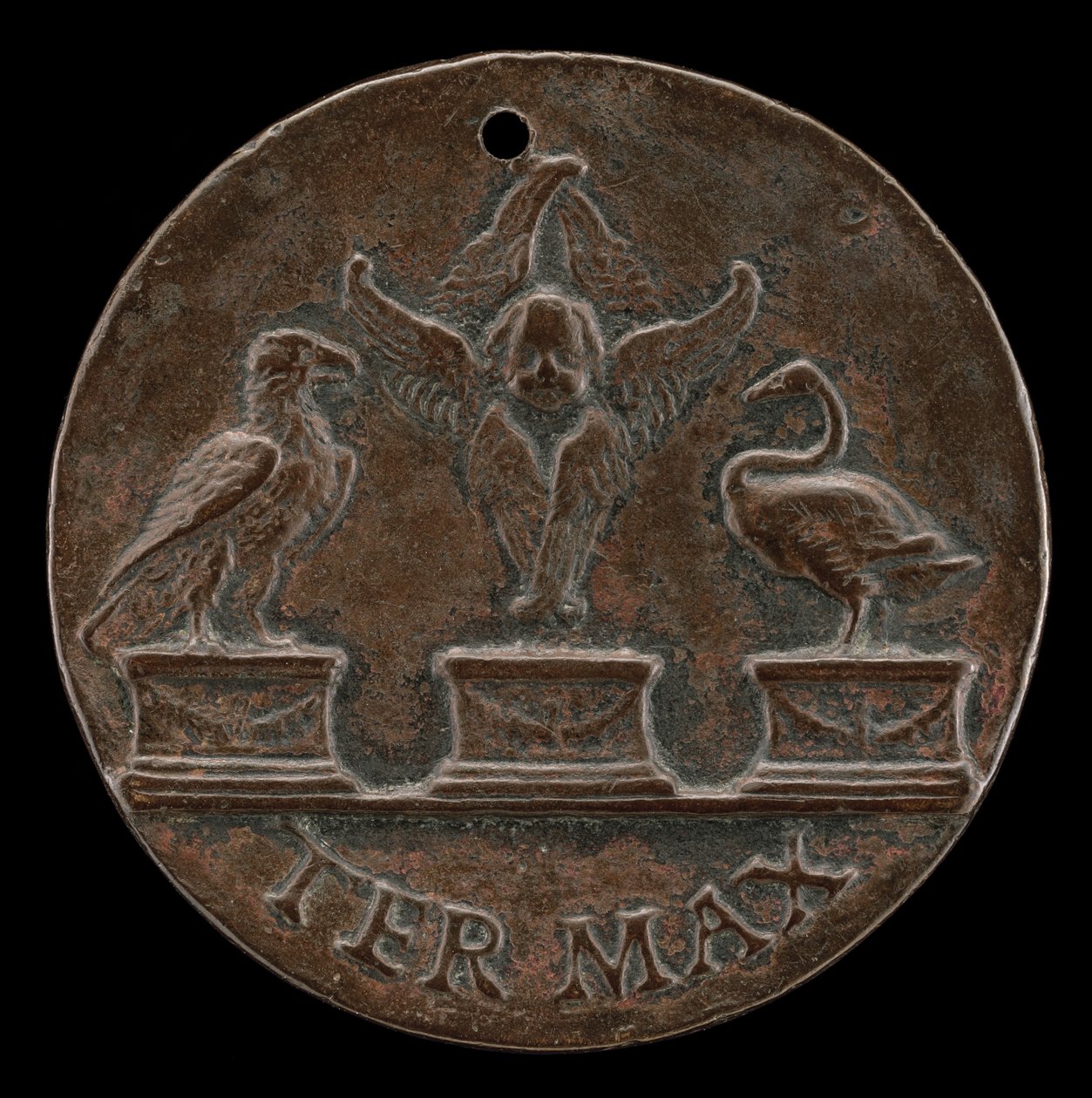 Cherubino, Cigno e Aquila (retro) da Mea