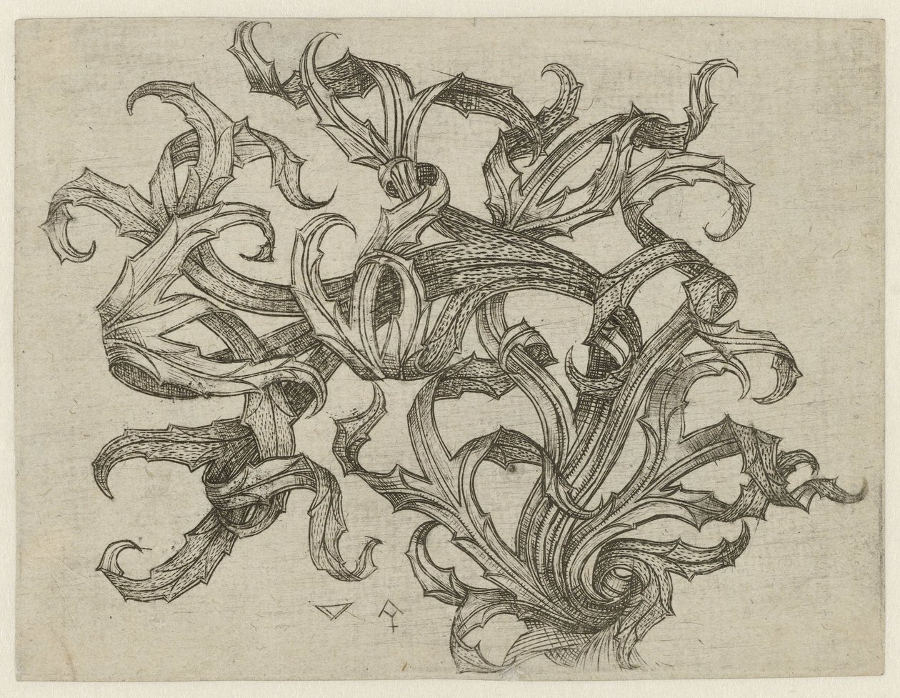Ornamento di cardo da Meester W met de Sleutel