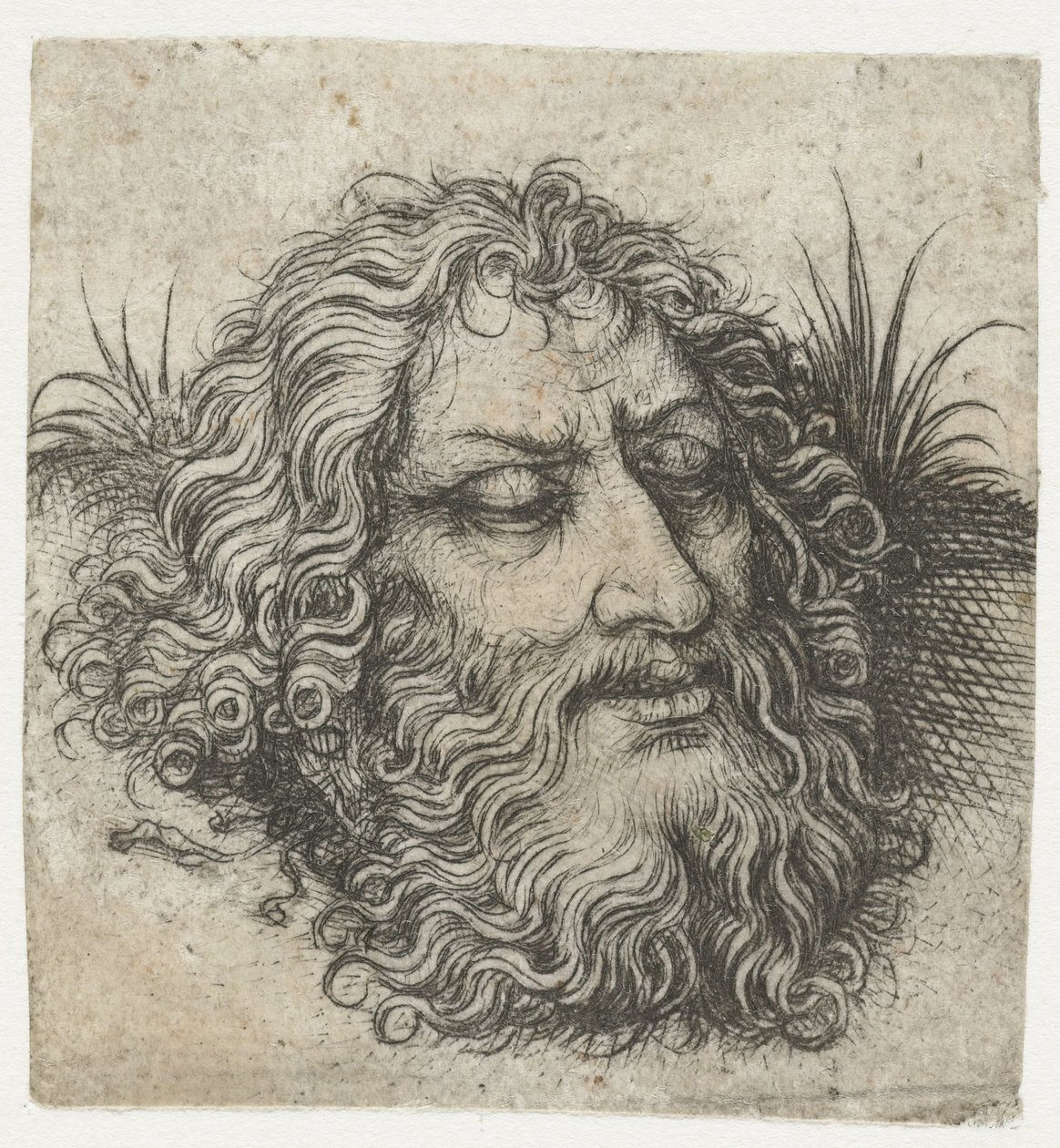 La testa di Giovanni Battista o di Golia da Meester van het Amsterdamse Kabinet