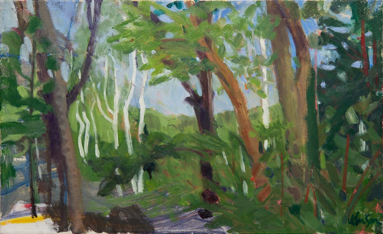 Una bancarella di betulle, 2016 (olio su tela) da Megan Williamson