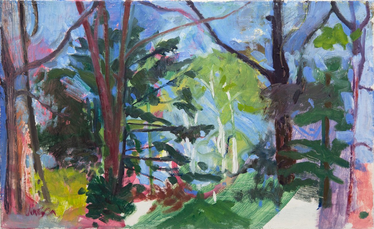 Foresta nazionale di Chequamegon, 2016 (olio su tela) da Megan Williamson