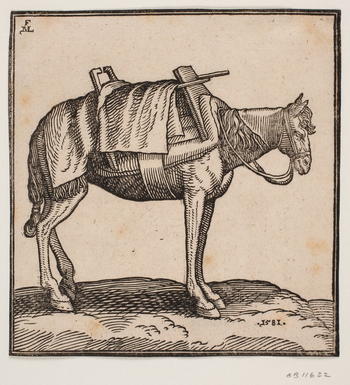 Un cavallo da trasporto sellato da Melchior Lorck