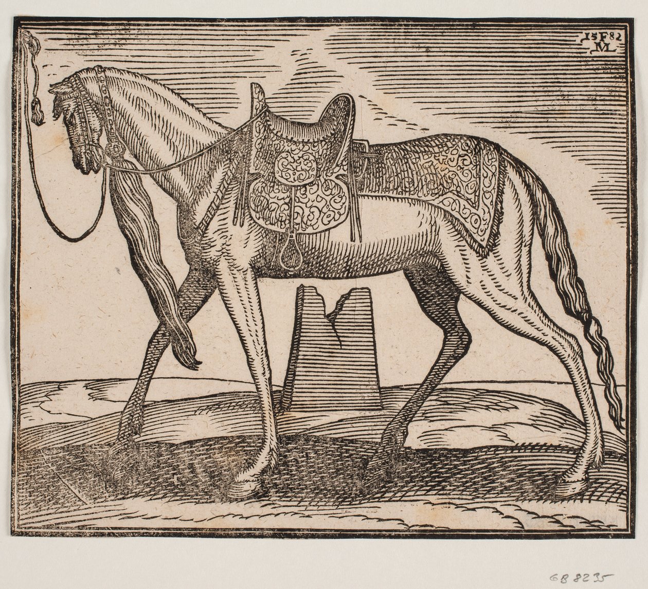 Cavallo elegante sellato, legato alla linea di inquadratura sinistra, profilo a sinistra; sotto il ventre del cavallo si vede una rovina da Melchior Lorck