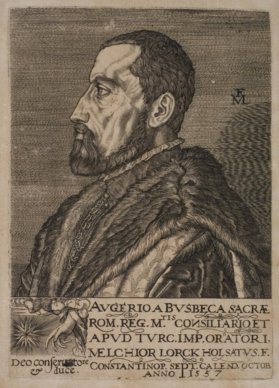 Ritratto di Ogier Ghiselin de Busbecq, inviato imperiale da Melchior Lorck