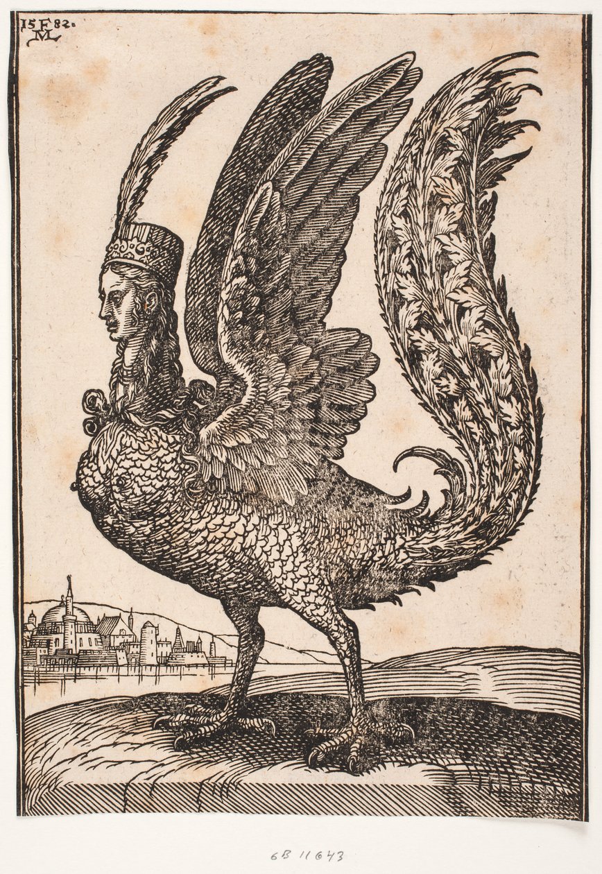 Animale mitico non identificato, arpia o sirena da Melchior Lorck